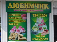 ���. ��������. �. ���������������. ����� "������".  "������� �������������� ������"